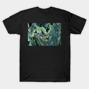 "Bye Bye"  (cute little wing) T-Shirt